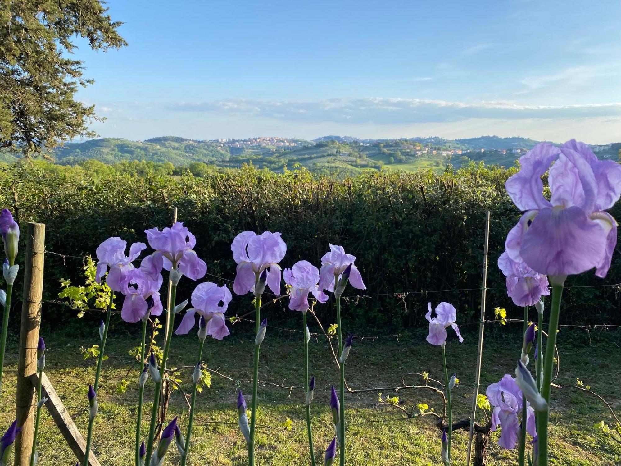 Vila Relais Casamassima Perugia Exteriér fotografie